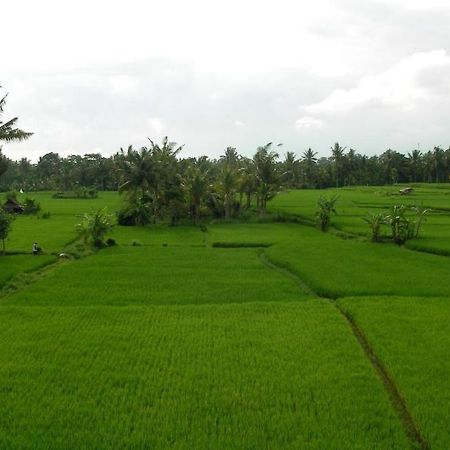 Green Field Hotel And Bungalow Ubud Kültér fotó