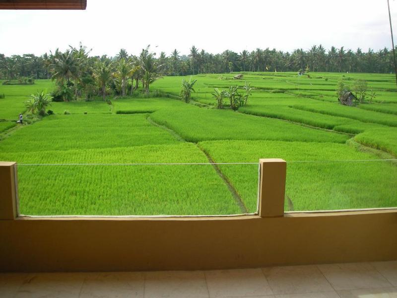 Green Field Hotel And Bungalow Ubud Kültér fotó
