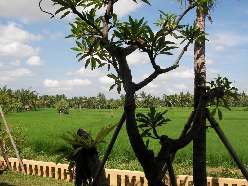 Green Field Hotel And Bungalow Ubud Kültér fotó