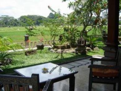 Green Field Hotel And Bungalow Ubud Kültér fotó